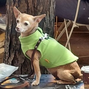 Meet your Posher, Grey